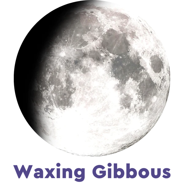 ⭐ FIND YOUR MOON! 🌙 -- Please read description!