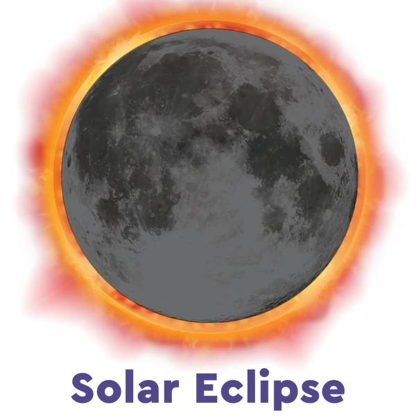 Paw Pendant in Stainless Steel