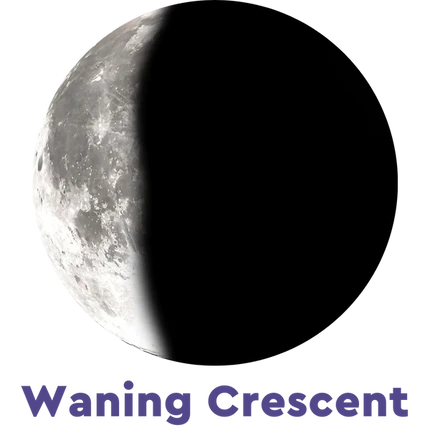 Midnight Eclipse Terra Luna Bracelet
