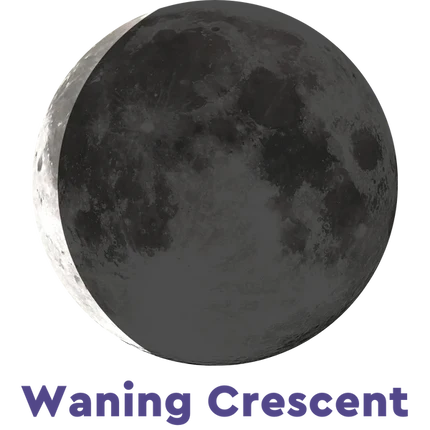 Midnight Eclipse Terra Luna Bracelet