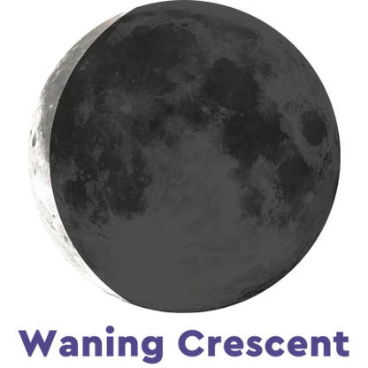 Midnight Eclipse Terra Luna Bracelet